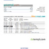 editable template, Laos Lao Viet bank statement Excel and PDF template