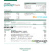 editable template, Lesotho Nedbaank bank statement Excel and PDF template