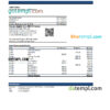 editable template, Liechtenstein Valartis bank statement Excel and PDF template