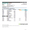 editable template, Lithuania Danske bank statement Excel and PDF template