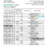 editable template, Malawi NBS bank statement Excel and PDF template
