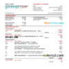 editable template, Malaysia AmBank bank statement Excel and PDF template