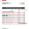 editable template, Maldives Bank of Maldives bank statement Excel and PDF template