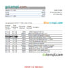 editable template, Malta Akbank bank statement Excel and PDF template