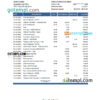 editable template, Moldova Banca Transilvania bank statement Excel and PDF template