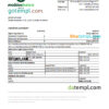 editable template, Moldova Mobiasbanca bank statement Excel and PDF template
