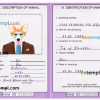 FREE editable template, Namibia dog (animal, pet) passport PSD template, fully editable