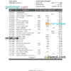 editable template, Nauru Eagle bank statement Excel and PDF template