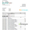 editable template, Nepal Nabil bank statement Excel and PDF template
