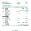 editable template, Netherlands ABN AMRO bank statement Excel and PDF template