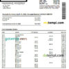 editable template, USA Netspend bank statement Word and PDF template