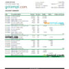 editable template, Niger Bank of Africa bank statement Excel and PDF template