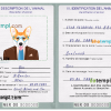 FREE editable template, Niger dog (animal, pet) passport PSD template, completely editable