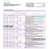 editable template, Pakistan Meezan bank statement Excel and PDF template