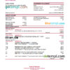 editable template, Palestine Bank of Palestine bank statement Excel and PDF template