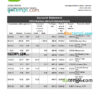 editable template, Palestine Quds bank statement Excel and PDF template