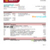 editable template, Papua New Guinea Kina Securities Limites bank statement Excel and PDF template