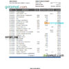 editable template, Paraguay Banco Amambay bank statement Excel and PDF template