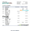 editable template, Philippines BDO bank statement Excel and PDF template