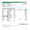 editable template, Poland Banca Intesa bank statement Excel and PDF template