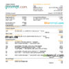 editable template, Qatar Doha bank statement, Excel and PDF template