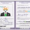 FREE editable template, Rwanda dog (animal, pet) passport PSD template, fully editable