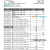 editable template, Saint Kitts and Nevis SKNA bank statement, Excel and PDF template