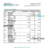 editable template, Saint Kitts and Nevis The Bank of Nevis bank statement, Excel and PDF template