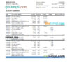 editable template, Saint Lucia Loyal bank statement, Excel and PDF template