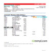 editable template, Saint Vincent and The Grenadines Scotiabank bank statement, Excel and PDF template