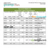 editable template, Salvador Banco Azteca bank statement, Excel and PDF template