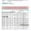 editable template, Sao Tome and Principe Afriland First bank statement, Excel and PDF template