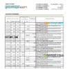 editable template, Sao Tome and Principe Banco Central de S.Tome e Principe bank statement, Excel and PDF template