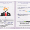 FREE editable template, Senegal dog (animal, pet) passport PSD template, fully editable