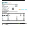editable template, Serbia Raiffeisen bank statement, Excel and PDF template