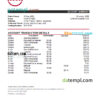 editable template, Seychelles ABSA bank statement, Excel and PDF template