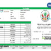 editable template, UAE Sharjah Electricity & Water Authority tax invoice Word and PDF template