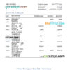 editable template, Sierra Leone National Development bank statement, Excel and PDF template
