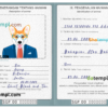 FREE editable template, Singapore dog (animal, pet) passport PSD template, fully editable