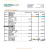 editable template, Singapore Maybank bank statement, Excel and PDF template