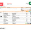 editable template, Slovenia Addiko bank statement, Excel and PDF template