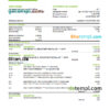 editable template, Solomon Islands BSP bank statement, Excel and PDF template