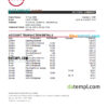 editable template, South Africa ABSA bank statement, Excel and PDF template