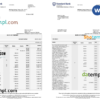 editable template, South Africa Standard bank statement, Word and PDF template, 6 pages