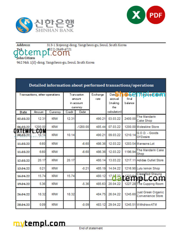 editable template, South Korea Shinhan bank statement, Excel and PDF template