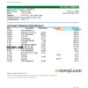 editable template, South Sudan Eden Commercial Bank statement, Excel and PDF template