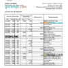 editable template, South Sudan Ivory Bank statement, Excel and PDF template