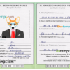 FREE editable template, Switzerland dog (animal, pet) passport PSD template, fully editable