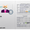 FREE editable template, Tajikistan dog (animal, pet) passport PSD template, fully editable
