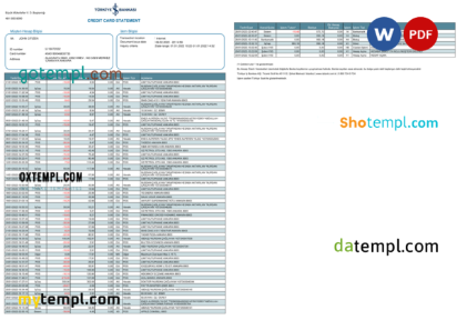 editable template, Turkey Bankasi bank statement, Word and PDF template, 2 pages